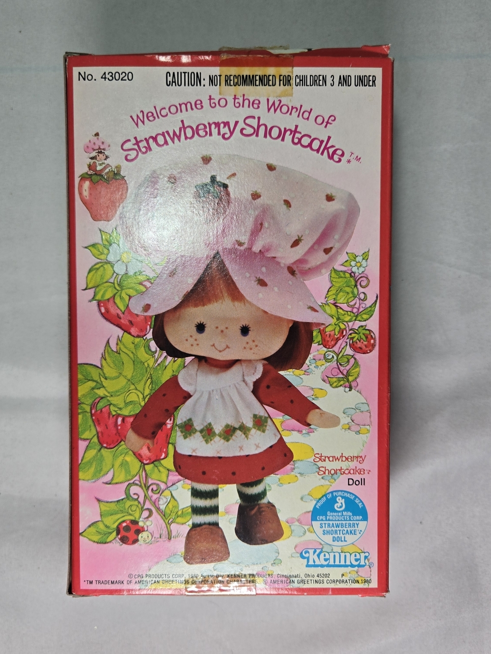 VINTAGE 1980 Kenner Strawberry Shortcake Doll #43020 W/ Accessories - Picture 2 of 7